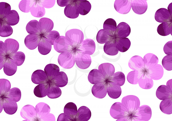 floral seamless background. Vector seamless pattern with wild flowers