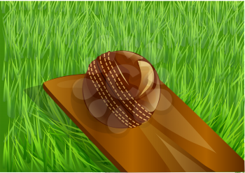 cricket vector illustration with ball and green grass