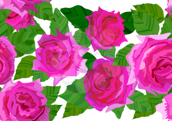 Zephirine Drouhin rose seamless floral background