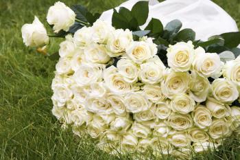 Close-up of big white rose bouquet made up of many flowers lying on green grass