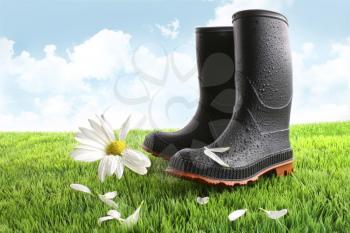 Royalty Free Photo of Rubber Boots and a Daisy on the Lawn
