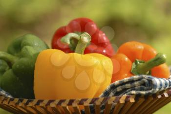 peppers in a basket outside
