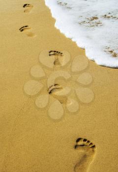 foot prints in the sand at the beach