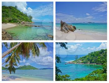 Collage of Tropical Landscapes, Seychelles, Indian Ocean