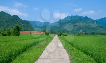 Empty country road in rice field, Vietnam, Southeast Asia