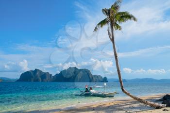 Royalty Free Photo of a Tropical Landscape