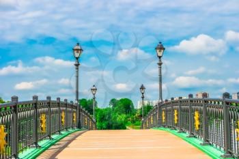 Bridge in Tsaritsyno Park, Moscow, Russia, Europe