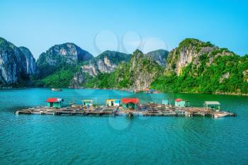 Floating fishing village in Halong Bay, Vietnam, Southeast Asia