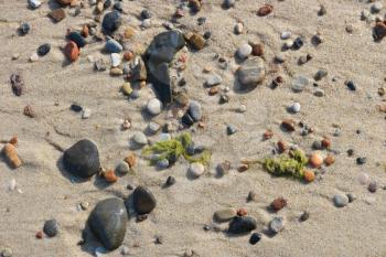 Stones and seaweed on sand beach in close up