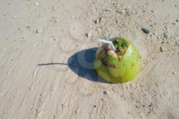 Fresh coconut drink on tropical white sandy beach