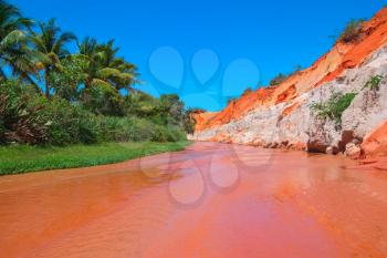 Red river between sand dunes and jungle. Fairy Stream Canyon, Mui Ne, Vietnam, Southeast Asia