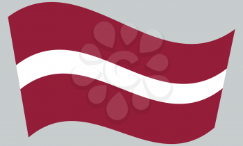 Flag of Latvia waving on gray background