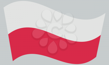 Flag of Poland waving on gray background