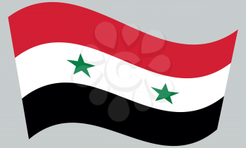 Flag of Syria waving on gray background
