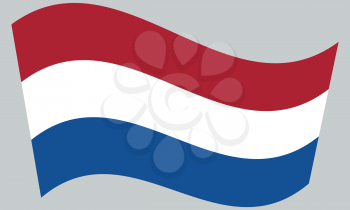 Flag of the Netherlands waving on gray background