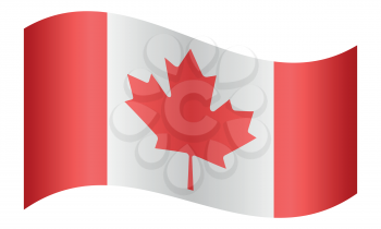 Flag of Canada waving on white background