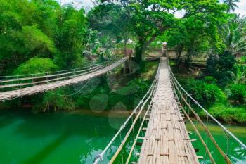 Bamboo hanging bridge over river in tropical forest, Bohol, Philippines