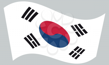 Flag of South Korea waving on gray background. South Korean national flag.