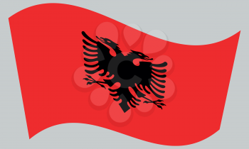 Albanian national official flag. Patriotic symbol, banner, element, background. Correct colors. Flag of Albania waving on gray background, vector
