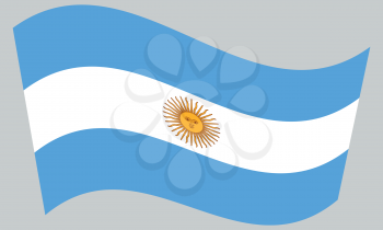 Argentinian national official flag. Argentine Republic patriotic symbol, banner, element, background. Flag of Argentina waving on gray background, vector