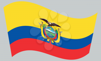 Ecuadorian national official flag. Patriotic symbol, banner, element, background. Correct colors. Flag of Ecuador waving on gray background, vector