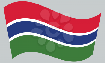 Gambian national official flag. African patriotic symbol, banner, element, background. Correct colors. Flag of the Gambia waving on gray background, vector