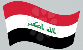Iraqi national official flag. Irak patriotic symbol, element, background. Iraki banner. Correct colors. Flag of Iraq waving on gray background, vector