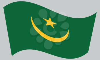 Mauritanian national official flag. African patriotic symbol, banner, element, background. Correct colors. Flag of Mauritania waving on gray background, vector