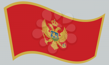 Montenegrin national official flag. Patriotic symbol, banner, element, background. Correct colors. Flag of Montenegro waving on gray background, vector