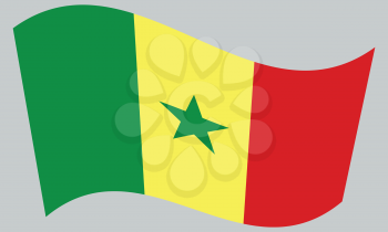 Senegalese national official flag. African patriotic symbol, banner, element, background. Correct colors. Flag of Senegal waving on gray background, vector