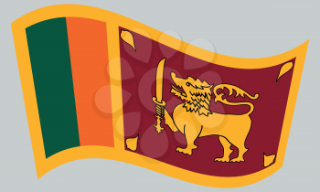 Sri Lankan national official flag. Patriotic symbol, banner, element, background. Correct colors. Flag of Sri Lanka waving on gray background, vector