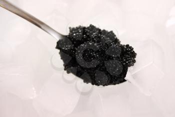 Black caviar on a spoon on ice