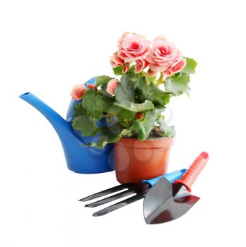 Garden tools and a blooming flower in a pot
