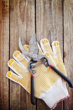 Gardening gloves and secateurs on a wooden board