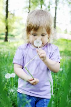 Little girl smelling dandelion in the spring park