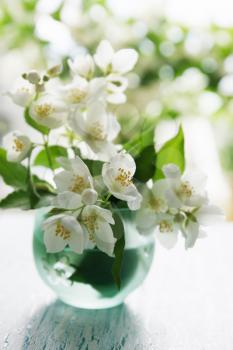 Fragrant jasmine bouquet in a vase on the table