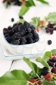 fresh black mulberries in a white plate