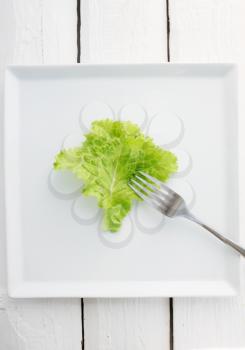 Lettuce with a fork on a plate