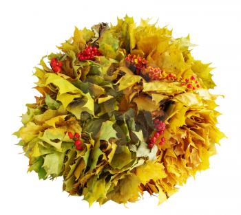 Wreath of yellow maple leaves, isolated on white