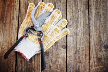 Gardening gloves and secateurs on a wooden board