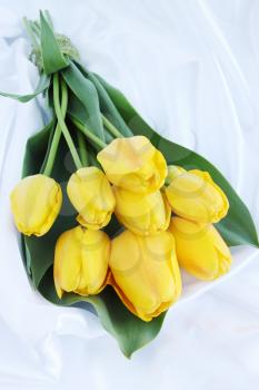 spring bouquet of yellow tulips, on a white silk