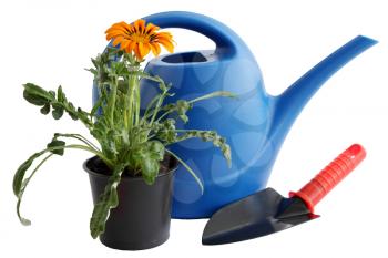 Watering can, a shovel and a flower