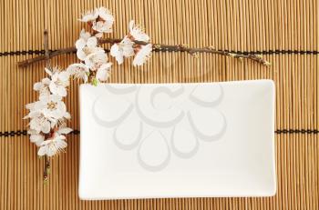 Serving a rectangular white plate with apricot flowers
