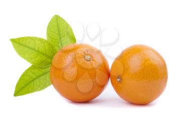 Two tangerine with green leaf on white background.