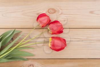 Tulips on wooden background.