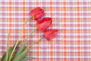 Tulips on the tablecloth.