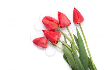 Bouquet of red tulips on a white background.