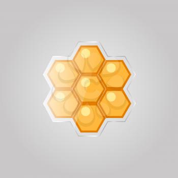 Bee honeycombs on a gray background. Vector illustration .
