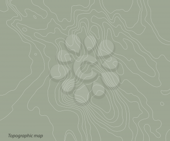 Topography relief map on a green background. Vector illustration .