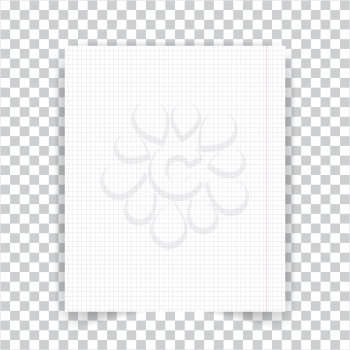 Paper sheet of a school notebook on a transparent background. Vector illustration .